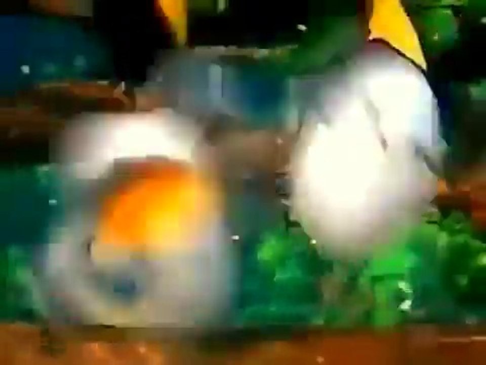 joyeux anniversaire  cathy bisous de nounours blon et mi