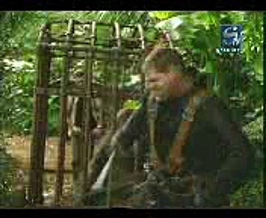 funny video......look what monkey says to man..dailymotion