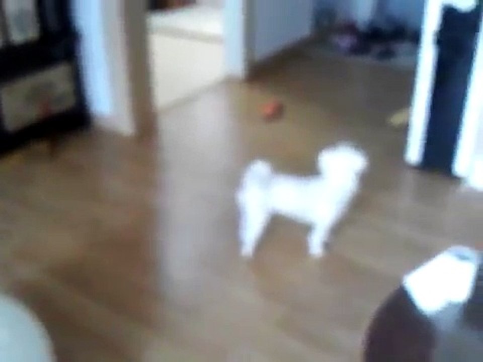 용인출장안마∏O1O↔2179↔7343∏ 신갈출장안마Ё 구갈출장안마㎛용인출장마사지