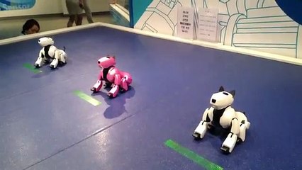 분당출장안마㎙ 출장샵『010-2179-7343』분당출장마사지/야탑출장안마/서현출장안마/미금출장안마/성남출장안마/판교출장안마