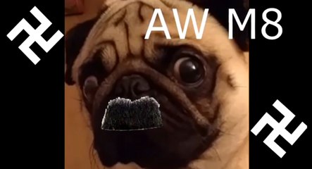 Man teaches the dog to his girlfriend to do the Nazi salute