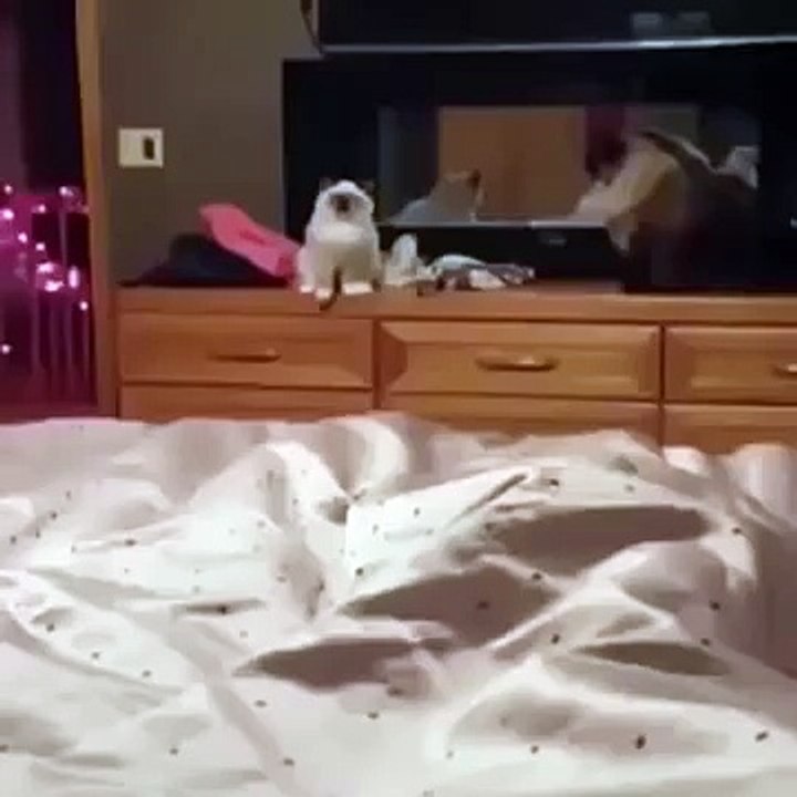 错误!