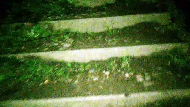 SCARY WOODS FOOTAGE (WARNING! MAKES YOU JUMP)