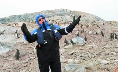 Kadının Sesini Duyan Penguenler Arkasına Bakmadan Kaçtı