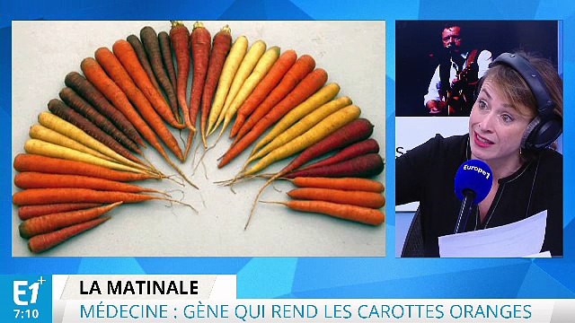 Le gène qui rend les carottes oranges découvert