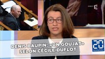 Denis Baupin: «Un goujat» selon Cécile Duflot