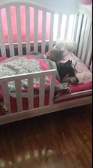 Nella Stanza Del Bimbo C’è Un Silenzio Insolito …Quando Va A Vedere Resta A Bocca Aperta!!