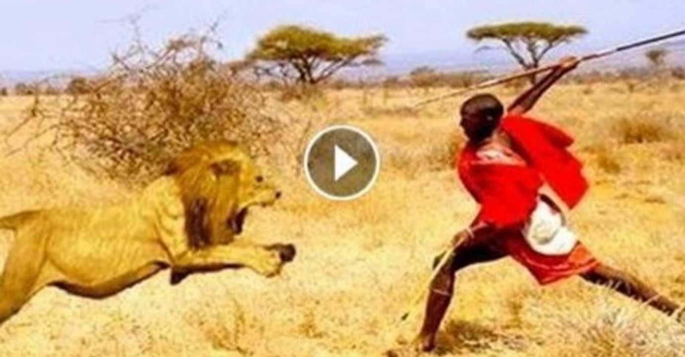 Arab Man vs Lion