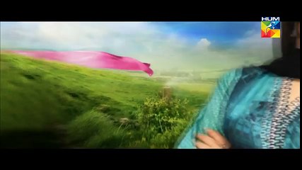 Haya Ke Daman Mein Episode 31 Full Hum TV Drama 11 May 2016
