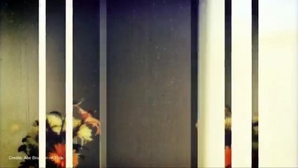 Prestige Kew Gardens