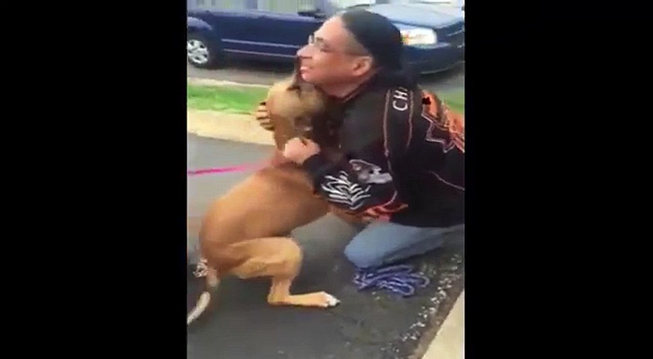 Man reunited with his missing dog after 2 years