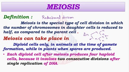 Meiosis