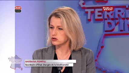 Pompili : « Le machisme latent en politique existe depuis toujours et pas seulement chez les écologistes »