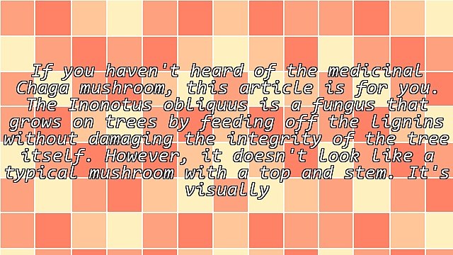 Superfood: Chaga Mushroom