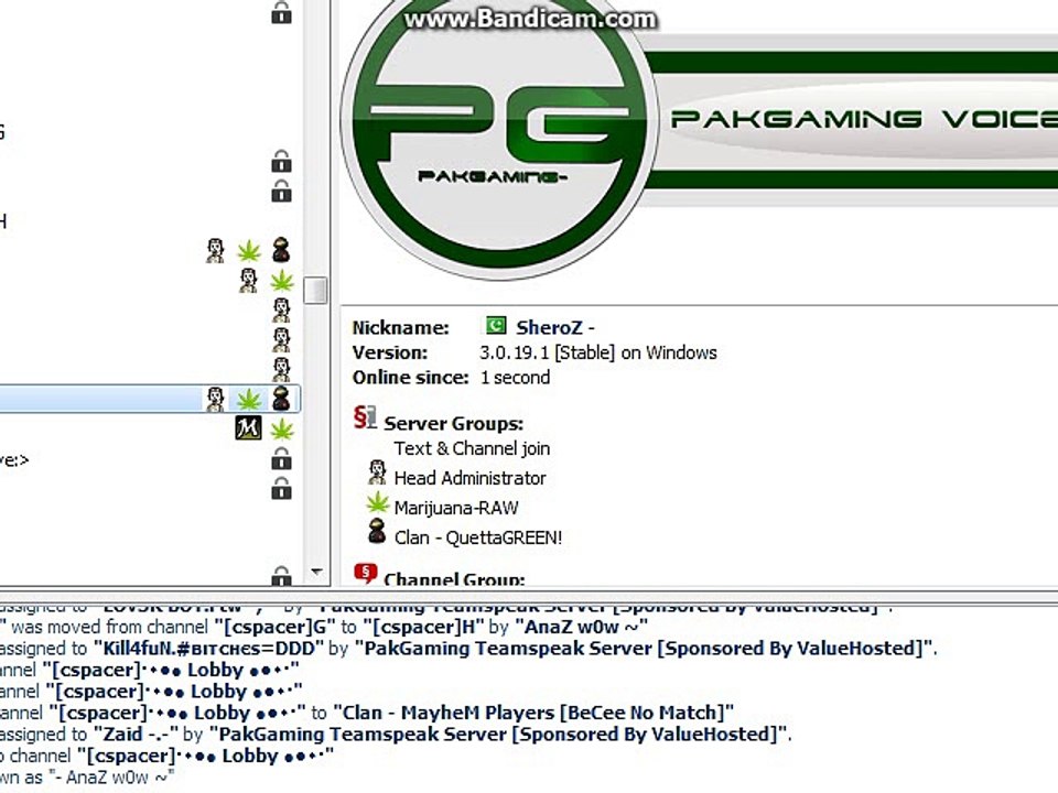 kill4fun busted his team himself