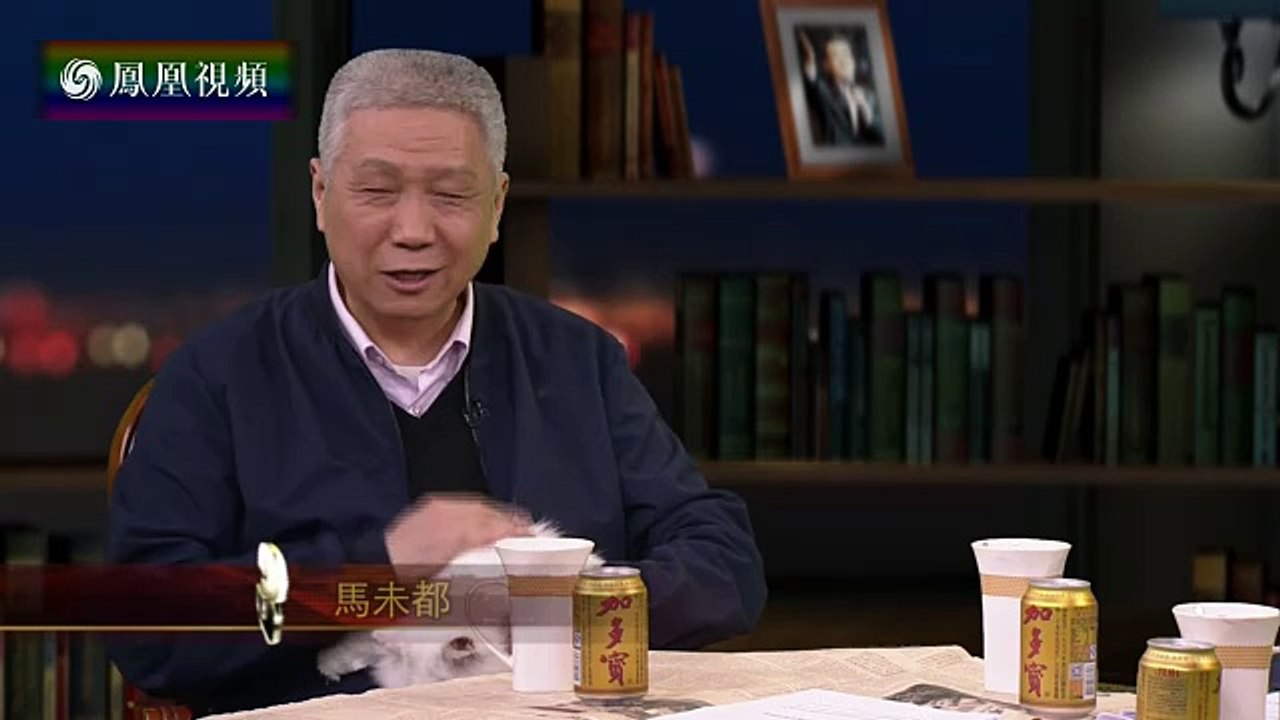 20160419 锵锵三人行  马未都：猫是人类豢养的动物中最有灵气的