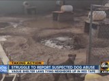 Struggle to report suspected dog abuse