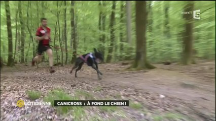 Courir avec son chien, c’est du sport !