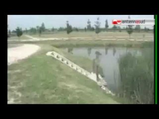 Tg Antenna Sud - Stagione irrigua, 2 milioni ai Consorzi