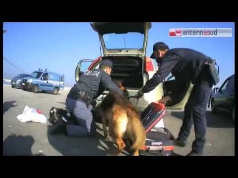 Tg Antenna Sud - Terrorismo, due fermi a Bari