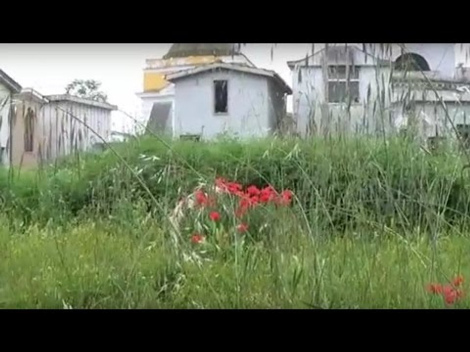 Aversa (CE) - Il cimitero in preda alle erbacce (11.05.16)