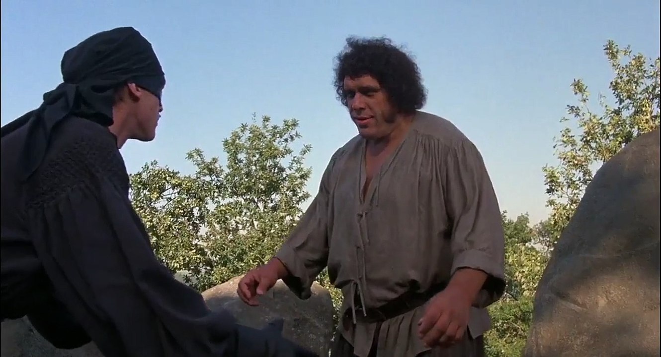 The Princess Bride ANDRE THE GIANT - video Dailymotion
