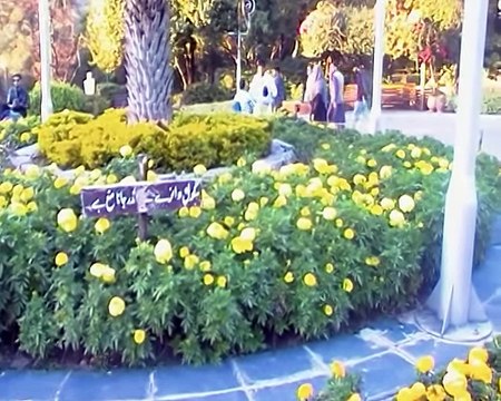 Beautiful Islamabad Daman e Koh pakistan part 6