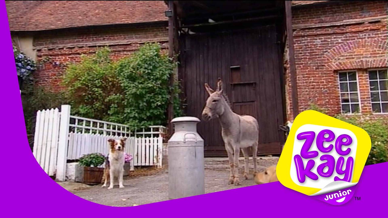 Butter Fingers Big Barn Farm ZeeKay Junior video Dailymotion