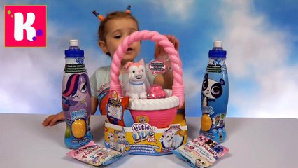 Собачки Live Pets Мэджики и Маленький зоомагазин ЛПС игрушки сюрпризы для Мисс Кати Puppy pets toys LPS funny dog 2016