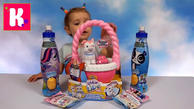 Собачки Live Pets Мэджики и Маленький зоомагазин ЛПС игрушки сюрпризы для Мисс Кати Puppy pets toys LPS funny dog 2016
