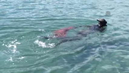 Bodrum'da Denizden Çıkanlar Şaşırttı