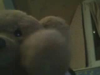 Compilation Papa Pingouin ! by Dream