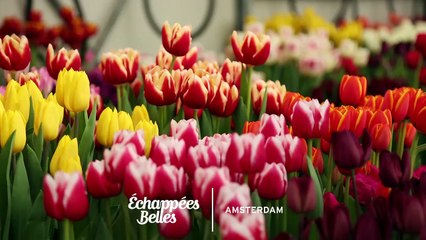 Partez à la découverte d'Amsterdam, dans Echappées Belles sur France 5