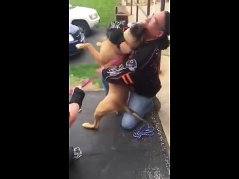 On a volé le chien de ce sans-abri! 2 ans plus tard, les retrouvailles sont émouvantes!