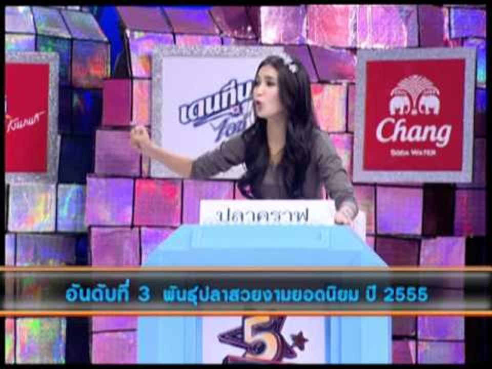 5 มหานิยม ปลาสวยงามยอดนิยม ปี 2555 OA190555 04 04 Part 01