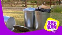 Runaway Rubbish | Big Barn Farm | ZeeKay Junior