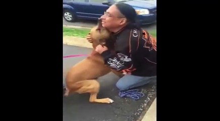 Il retrouve son chien volé après deux années de séparation