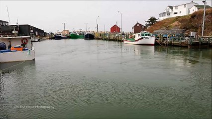 High to Low Tide Time Lapse of Hall's Habour, Nova Scotia Dramatic Change