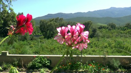 Enrico Macias: Laisse passer l'orage
