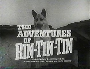 The Adventures of Rin Tin Tin @ 94 The Swedish Cook