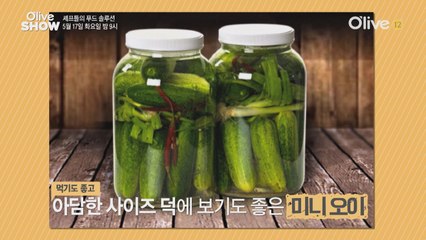 (선공개) 오이 보다 더 시원한 오이의 정체는?!