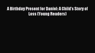 Download A Birthday Present for Daniel: A Child's Story of Loss (Young Readers) PDF Online