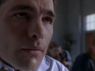 American party - Van Wilder relations publiques EXTRACT