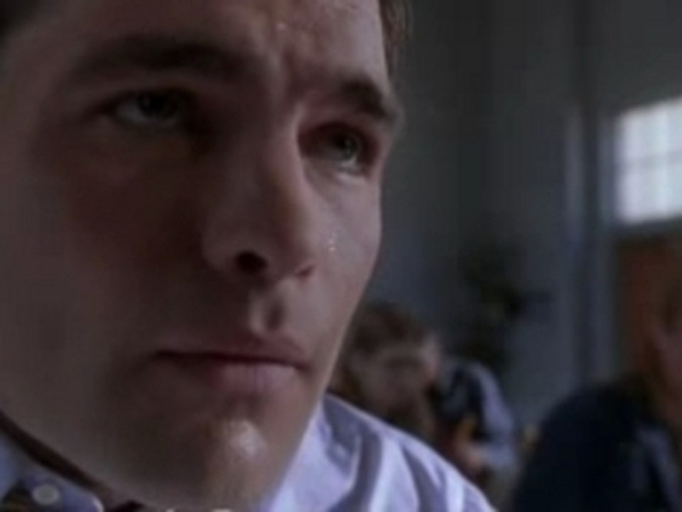 American party - Van Wilder relations publiques EXTRACT