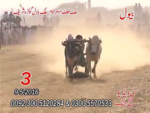 T.A.M.A.S.H.A 2rd time - Malik Fazaldad marhoom