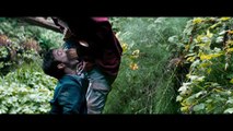 Swiss Army Man 2016 - Official Red Band Trailer HD