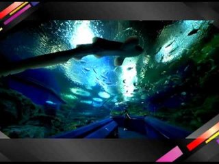 5 มหานิยม สถานที่เมืองพัทยา OA210455 02-04