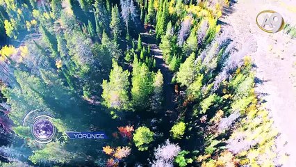 Herşey Yoktan Yaratıldı