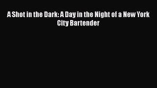 [DONWLOAD] A Shot in the Dark: A Day in the Night of a New York City Bartender  Full EBook