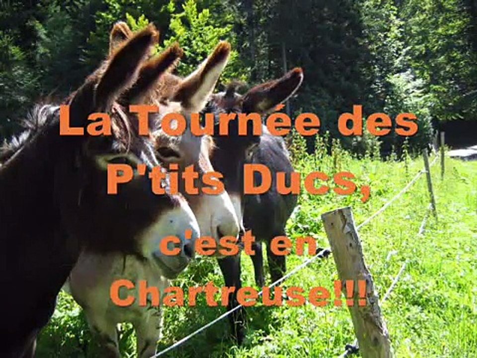 Avec mon âne #1... Randonnée en famille avec des enfants dans le Parc de Chartreuse.